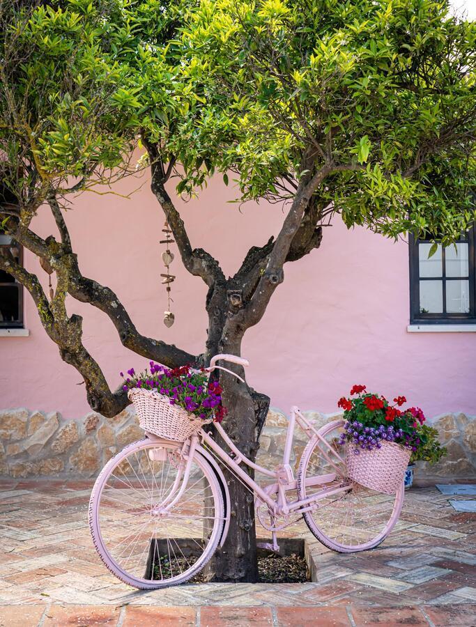 Quinta Aida Cottage And B&B Suites Lagoa  Εξωτερικό φωτογραφία