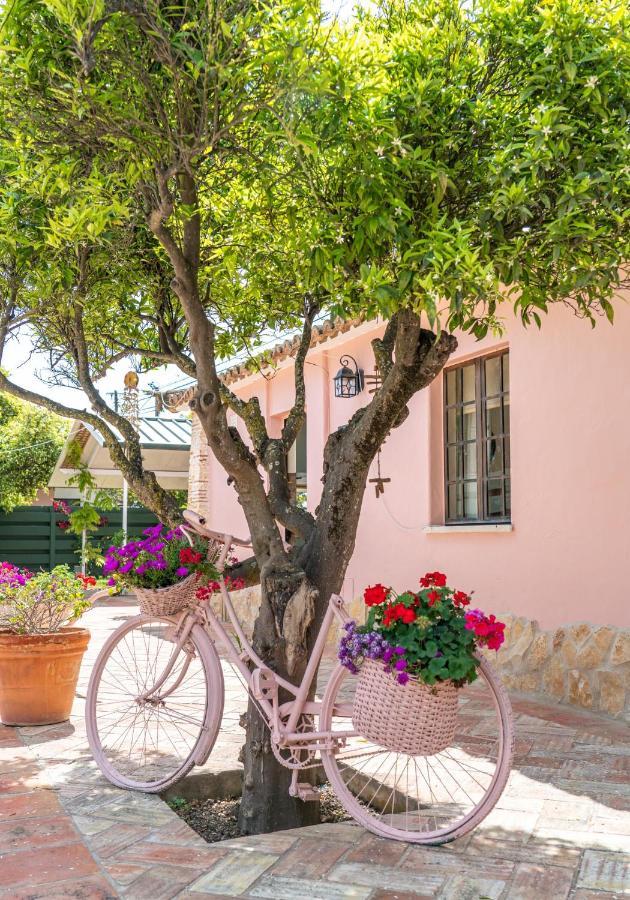 Quinta Aida Cottage And B&B Suites Lagoa  Εξωτερικό φωτογραφία