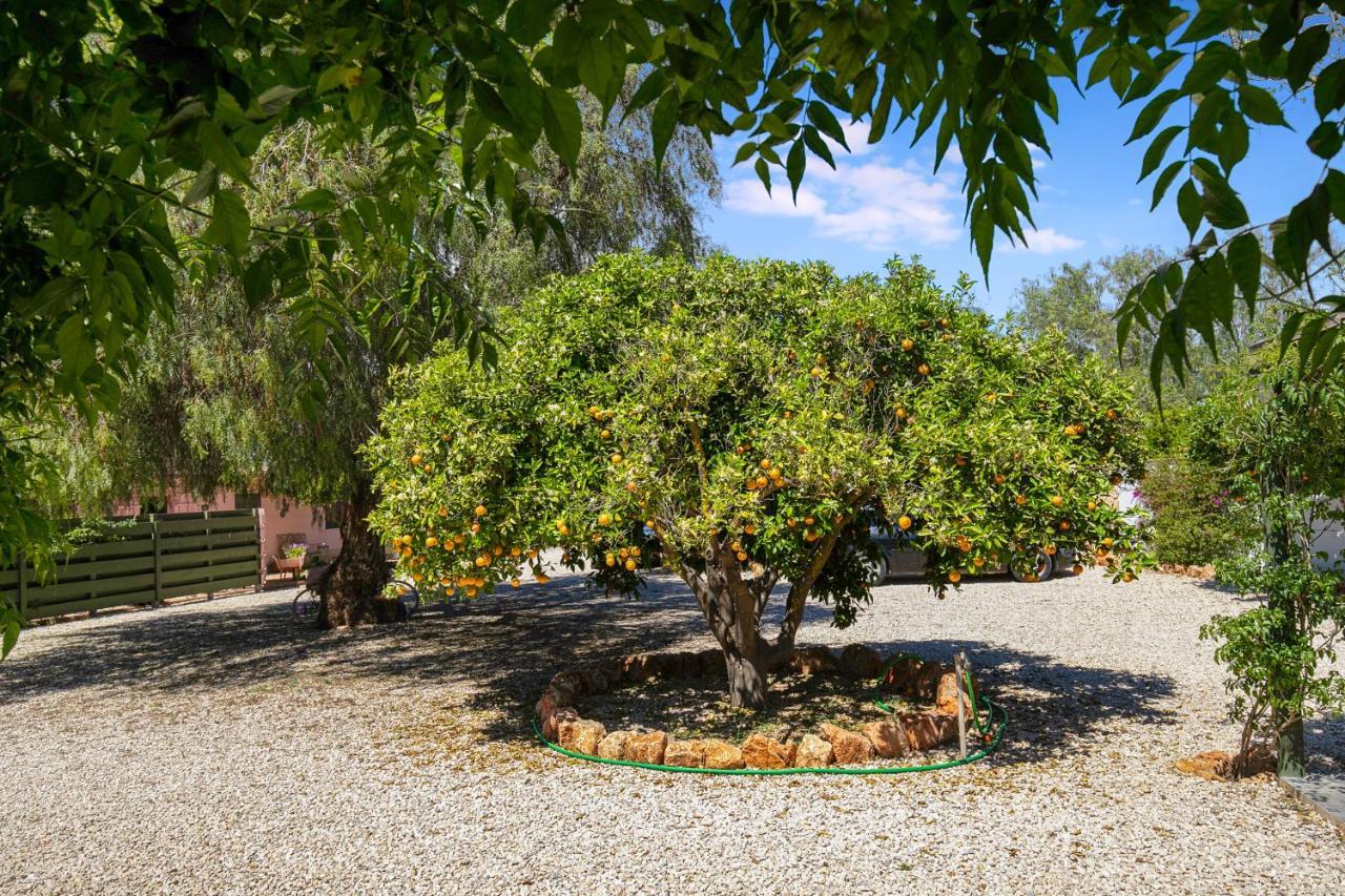 Quinta Aida Cottage And B&B Suites Lagoa  Εξωτερικό φωτογραφία